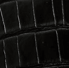  Shiny Alligator - Black