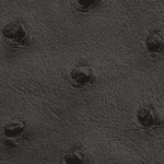  鴕鳥皮 - 炭黑色