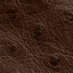  鴕鳥皮 - 剛果褐