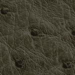  鴕鳥皮 - 卡其色