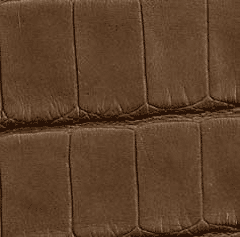  半霧面短吻鱷魚皮 - 灰褐色