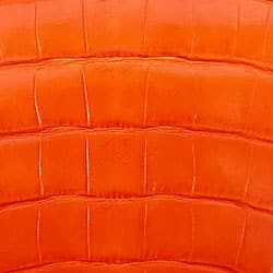  Shiny Alligator - Cornaline