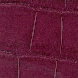  Shiny Alligator - Indian pink