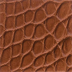  半霧面短吻鱷魚皮-焦糖色