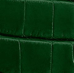  Shiny Alligator - British green