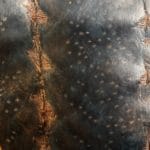  鱘魚皮 - 星空粉金色