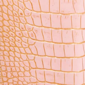  Alligator Spécial - Beige