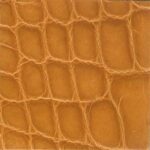  亮面鱷魚皮橘色