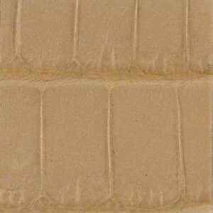  アリゲーターダークベージュ