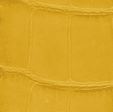 Shiny Alligator – Yellow
