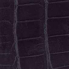  Shiny Alligator – Purple