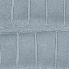  Shiny Alligator – sky blue