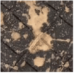  Asteria Alligator - Bronze rubber touch