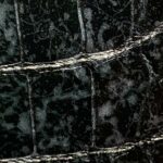  Asteria Alligator - Silver